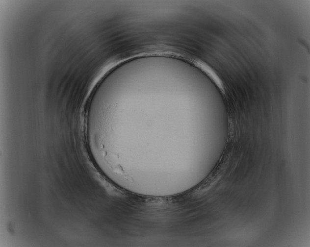 X0000093621099200710151036
