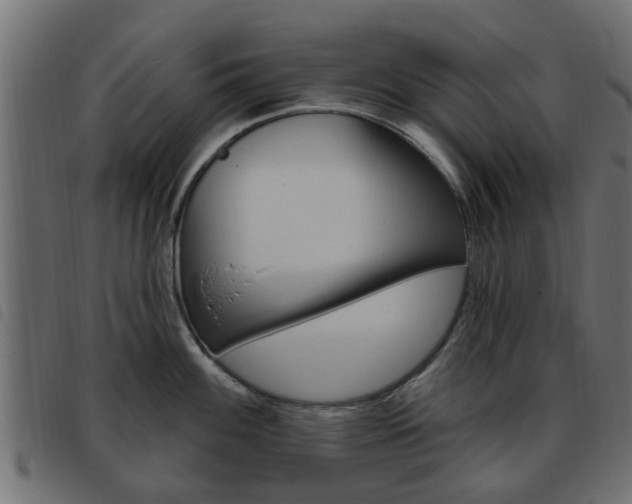 X0000093621100200710151036