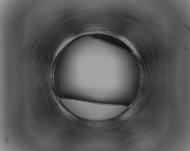 X0000093621101200710151036