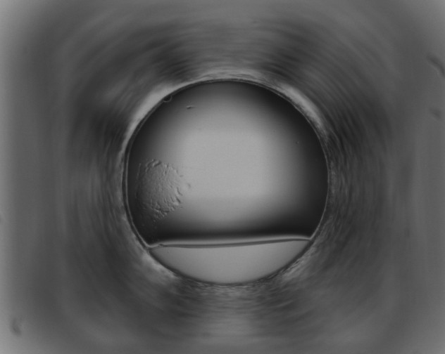 X0000093621102200710151035