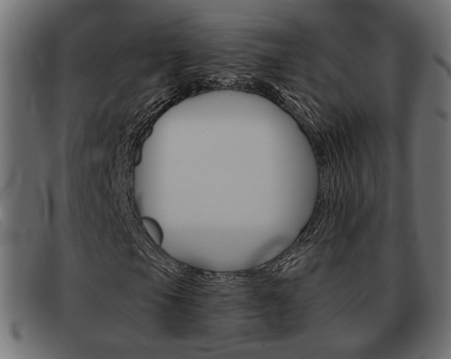 X0000093621105200710151035
