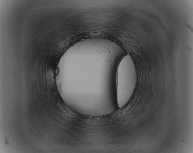 X0000093621106200710151035