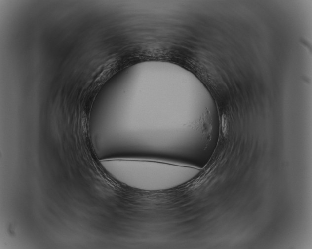 X0000093621107200710151035