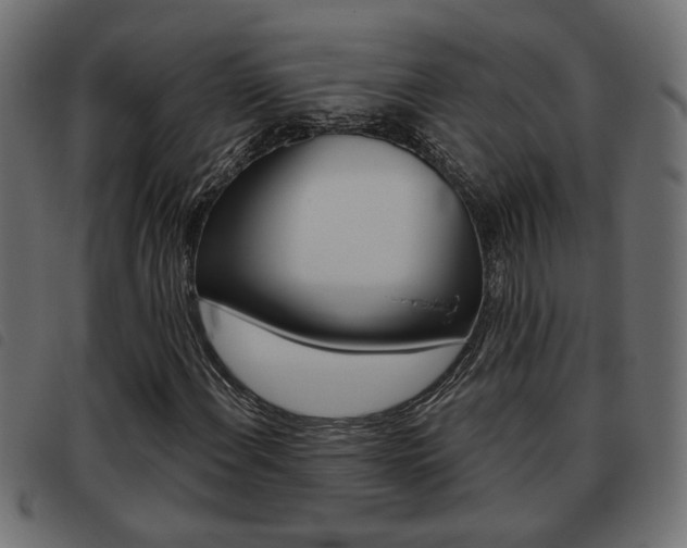 X0000093621108200710151035