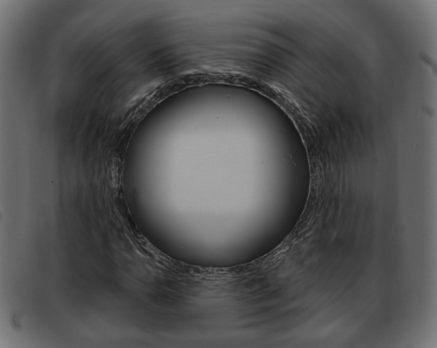 X0000093621110200710151035