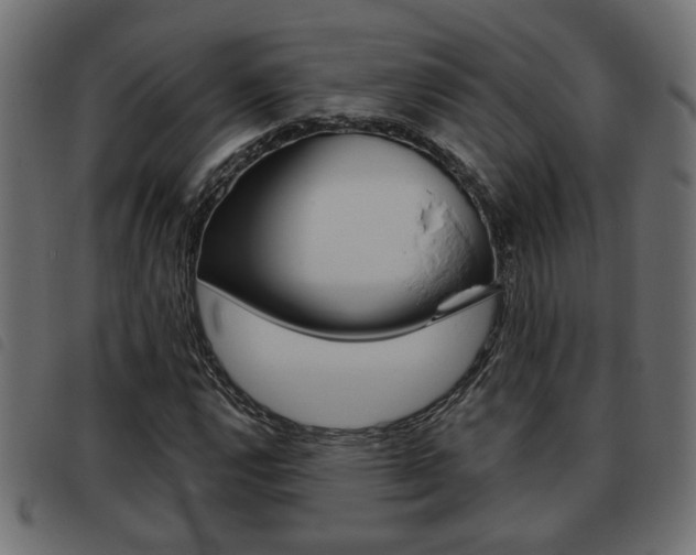 X0000093621112200710151035