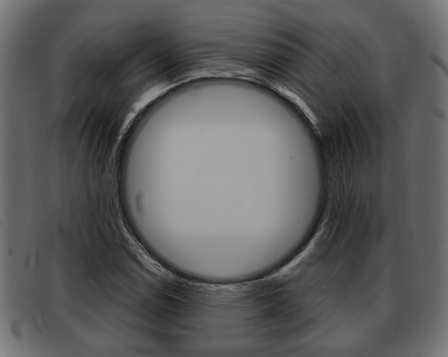 X0000093621114200710151035