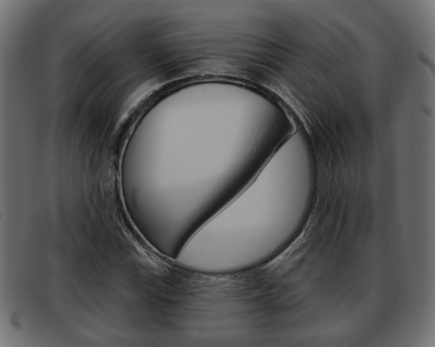 X0000093621115200710151035