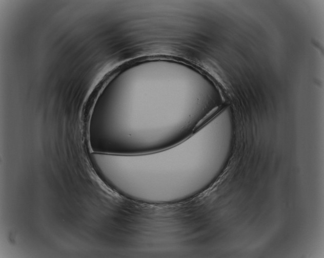 X0000093621116200710151035