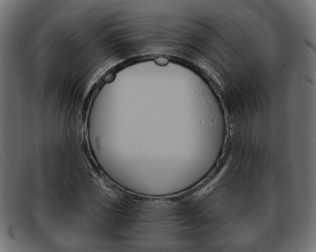 X0000093621117200710151035