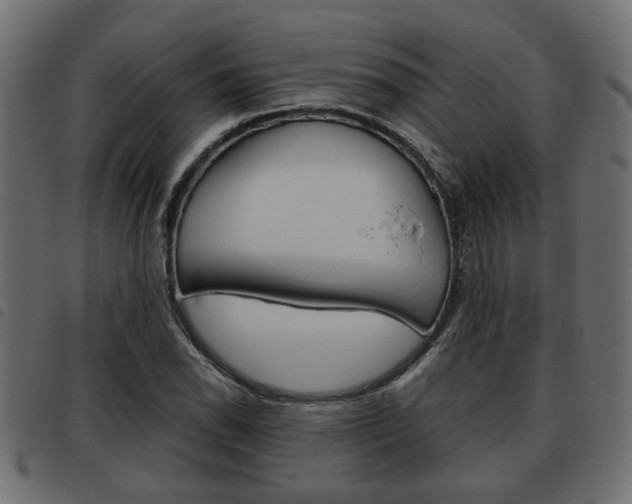 X0000093621118200710151035