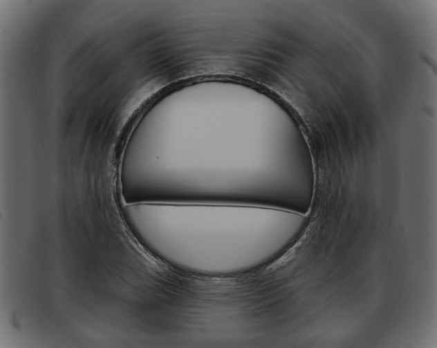 X0000093621119200710151035