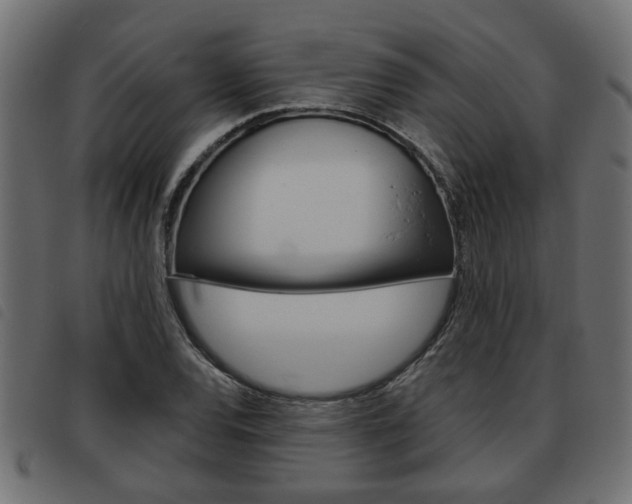 X0000093621120200710151035