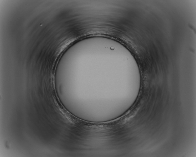 X0000093621121200710151035