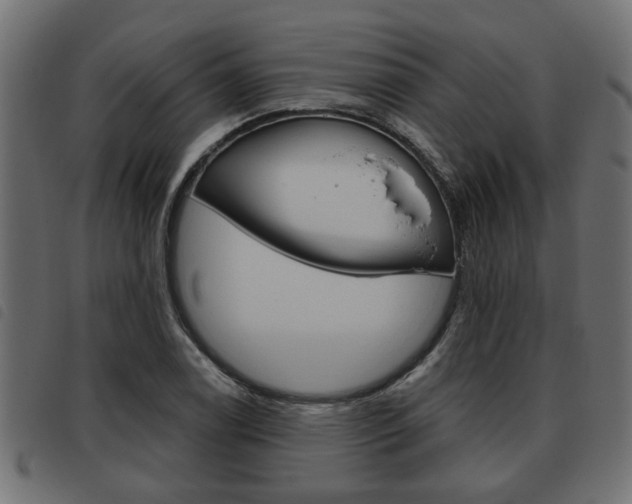 X0000093621122200710151035