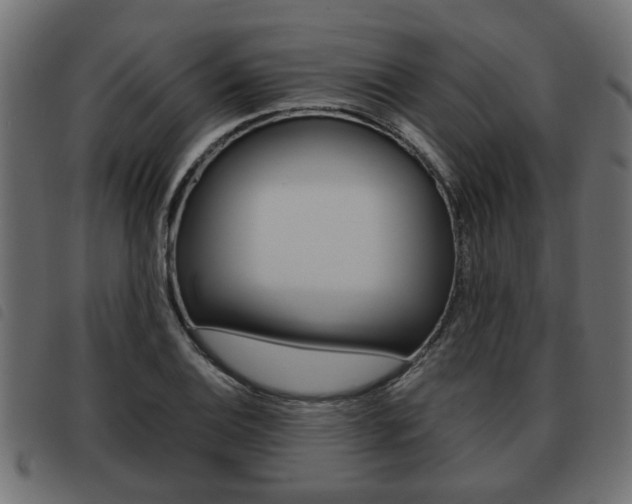 X0000093621124200710151035