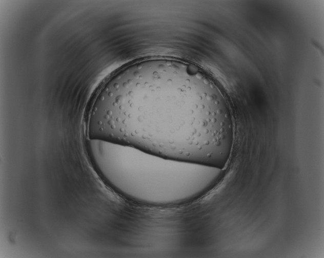 X0000093621125200710151035