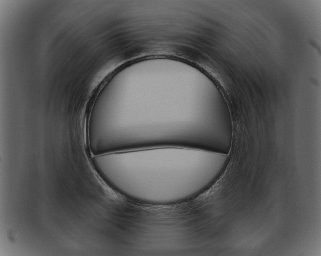 X0000093621127200710151035