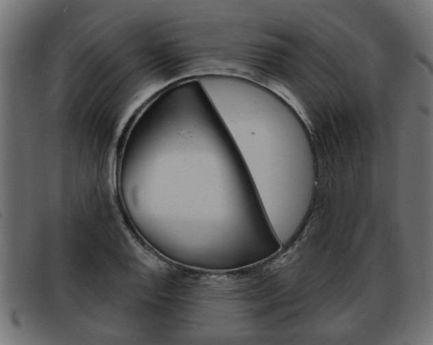 X0000093621128200710151035