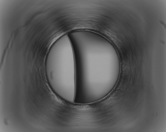 X0000093621129200710151035