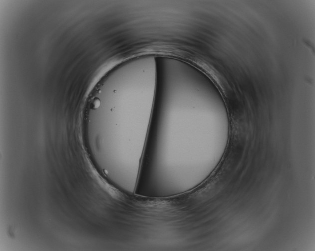 X0000093621131200710151035