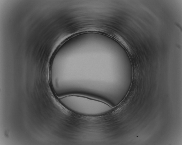 X0000093621132200710151035