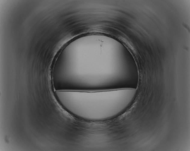 X0000093621133200710151035