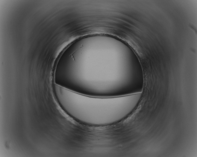 X0000093621134200710151035