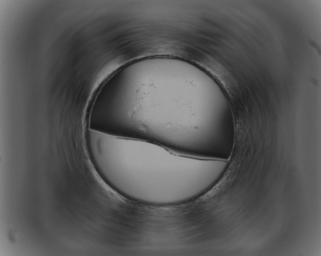 X0000093621135200710151035