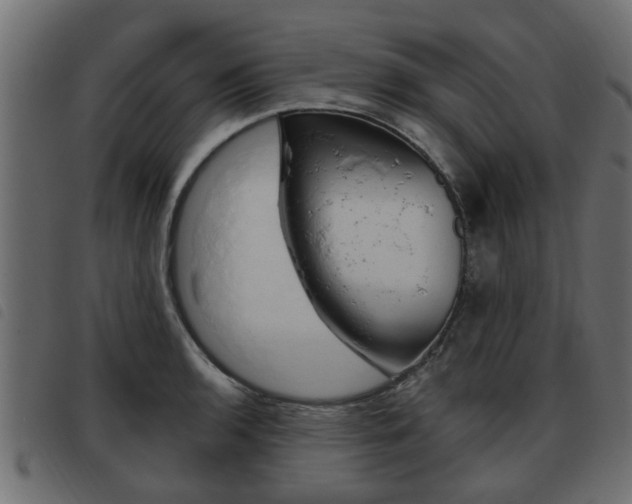 X0000093621136200710151035
