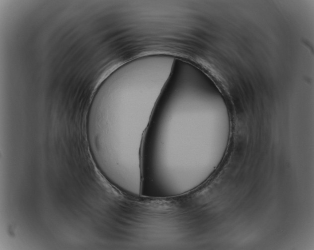 X0000093621137200710151035