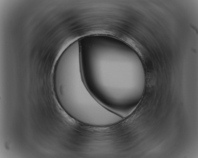 X0000093621140200710151035