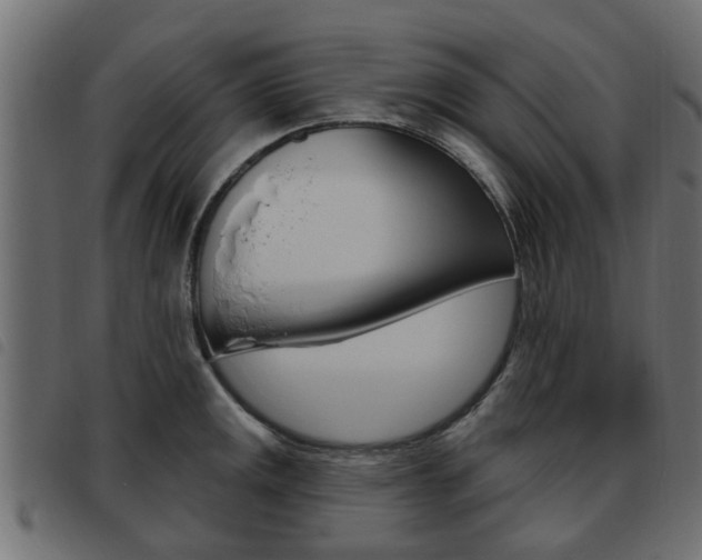 X0000093621141200710151035