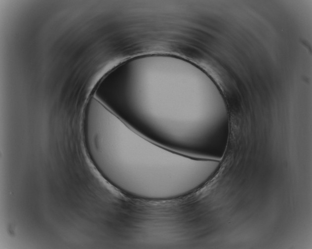 X0000093621142200710151035