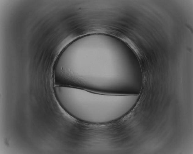 X0000093621143200710151035