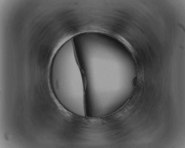 X0000093621144200710151035