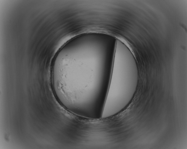 X0000093621147200710151035