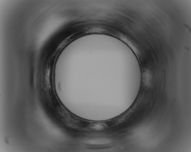 X0000093621150200710151035
