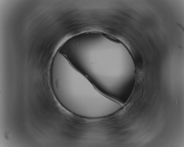 X0000093621151200710151035
