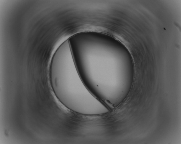 X0000093621152200710151035