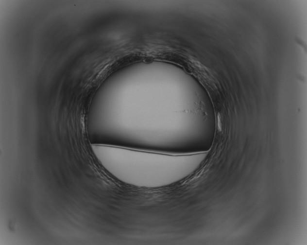 X0000093621155200710151035