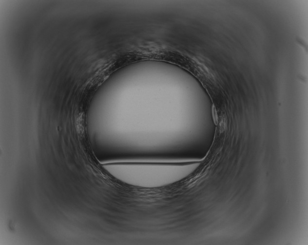 X0000093621156200710151035