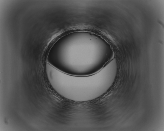 X0000093621160200710151035