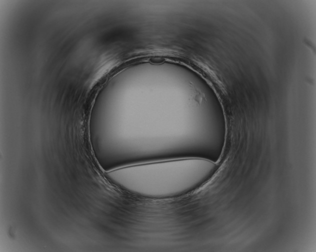 X0000093621163200710151035
