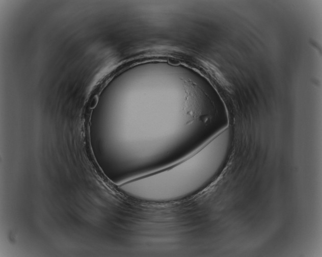 X0000093621164200710151035