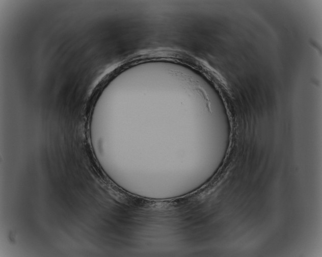 X0000093621166200710151035