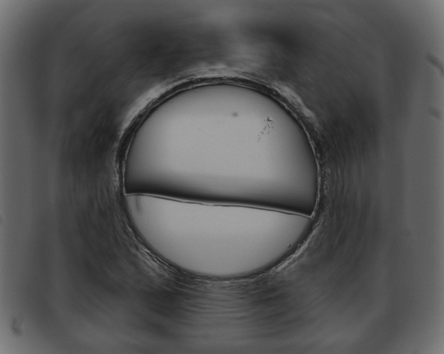 X0000093621167200710151035