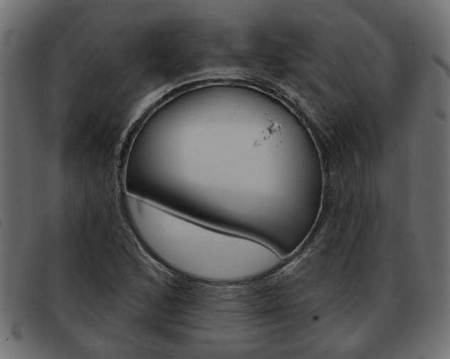 X0000093621168200710151035
