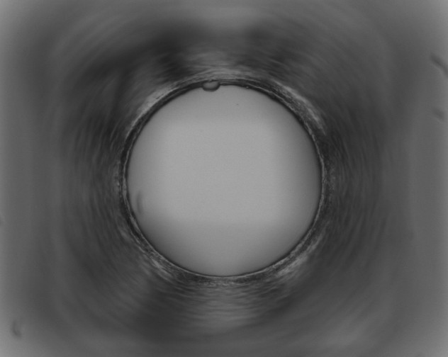 X0000093621170200710151035