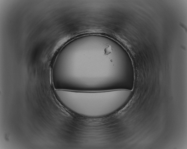 X0000093621171200710151035